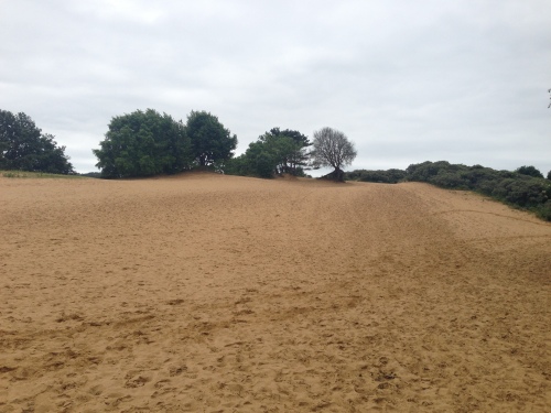 Sand dunes of Candleston