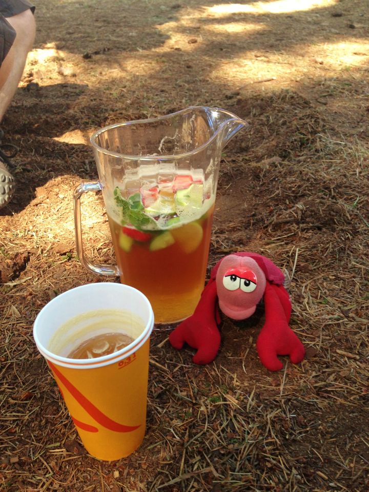 Lobster with the Pimms, he'd earned it
