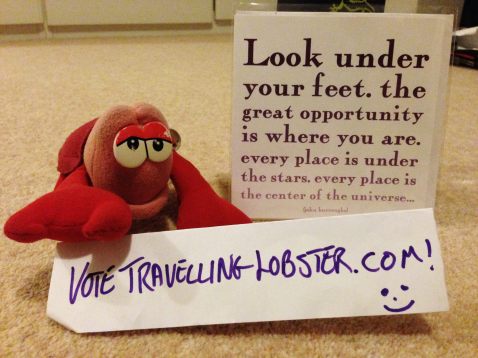 Travelling lobster, clearly biased, but with some wise words.